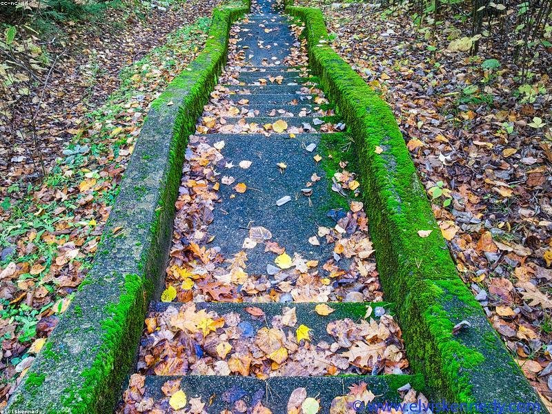 Concrete outdoor stairs with retaining walls in autumn — a completed walkout stairwell